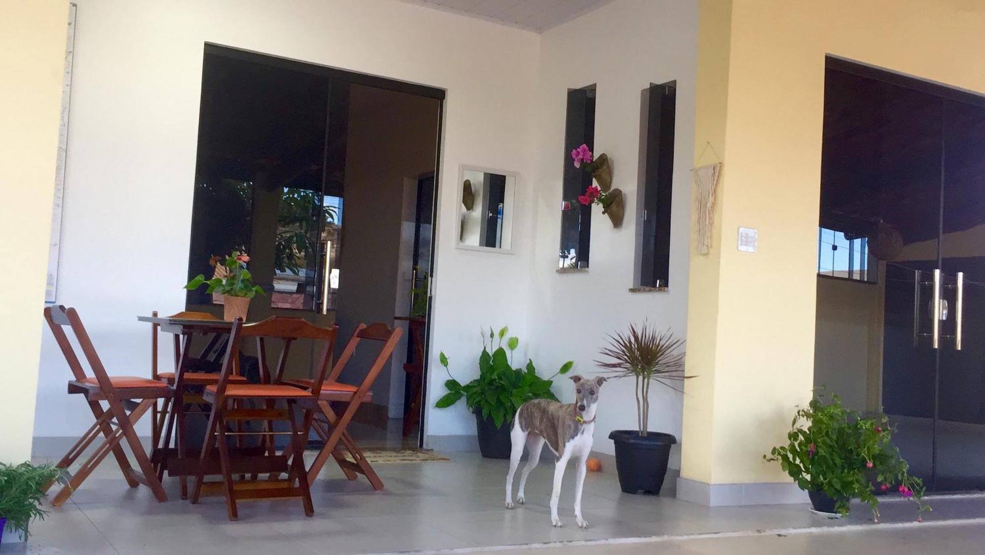 Pe De Manga Hospedagem Mucuge Bagian luar foto
